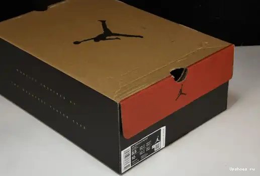  Cherry Jordan  12 CT8013-116 Retro CT8013-116 0407